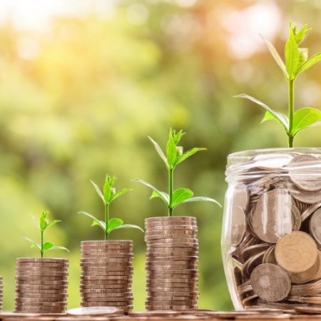 Plants Growing From Money